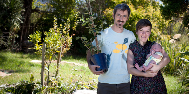 Davian Lorson with wife Kristy and baby daughter Savana, at Lucinda Orchard. Photo / Natalie Slade