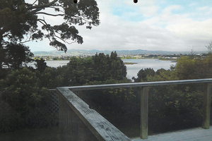 The unobstructed view of Tauranga Harbour from Brian Kent's deck after the native trees were felled. Photo / Tauranga District Council