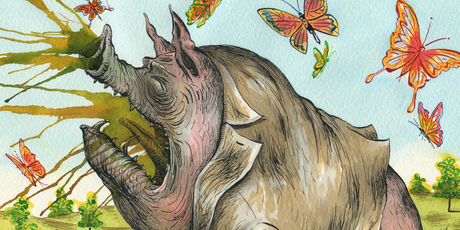 Illustration / Anna Crichton