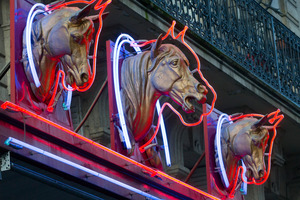 One retailer has announced plans to donate its stocks of horsemeat-tainted lasagne to the homeless. Photo / AP