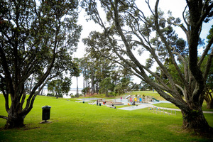 Coyle Park. Photo / Jason Dorday