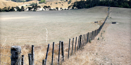 Dry land on Kauangaroa Road, Fordell. Farm sales dipped last month as owners probably held onto their properties until they look more attractive. Photo / Wanganui Chronicle