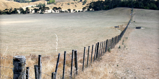 Dry land on Kauangaroa Road, Fordell. Farm sales dipped last month as owners probably held onto their properties until they look more attractive. Photo / Wanganui Chronicle