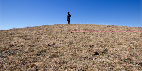 The Reserve Bank has factored in the effects of the drought on the economy. Photo / Brett Phibbs