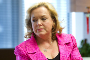 Judith Collins said there were no plans to review the law. Photo / Mark Mitchell