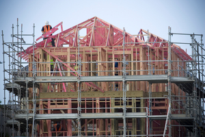 Developers are used to building four-bedroom houses on large sections but that has to change. Photo / Paul Estcourt