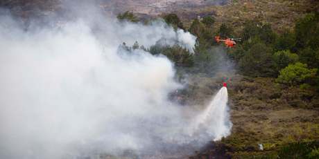 More bush fires are predicted as New Zealand summers get hotter and dryer. Photo / Greg Bowker