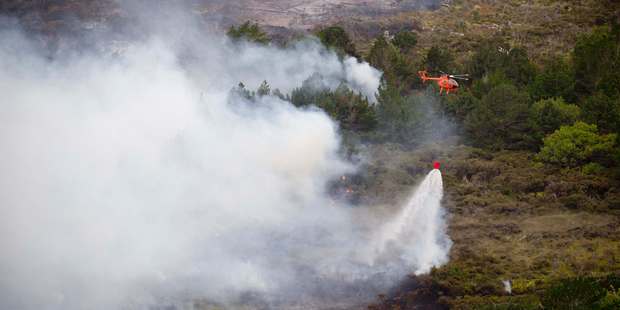 More bush fires are predicted as New Zealand summers get hotter and dryer. Photo / Greg Bowker
