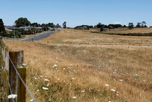 A dry paddock on Baverstock Rd, Hamilton. Photo / Christine Cornege