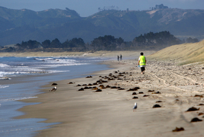 The body was yet to be formally identified. Photo / File / Michael Cunningham
