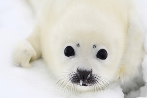 Photo / Thinkstock