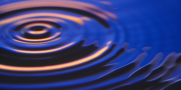 Photo / Thinkstock