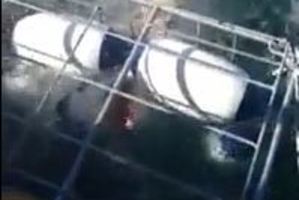 The shark lurched into the cage and thrashed abouyt in the water. Photo / Youtube / Brian Plummer
