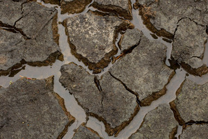 Forecasts for this week show rain approaching the west coast of the South Island, that may also reach the North Island. Photo / NZ Herald