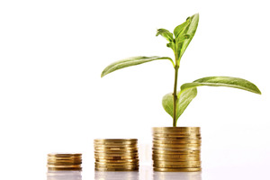 Thirteen hundred New Zealand investors had put money into the Currency Protected Australian Income Fund run by LMIM. Photo / Thinkstock