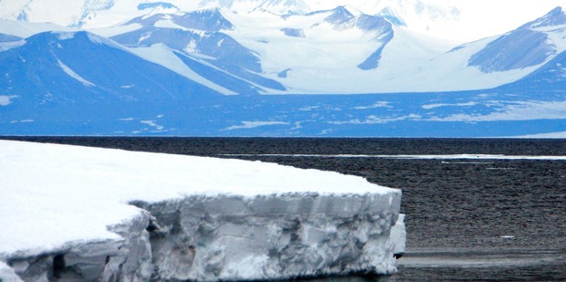 Greenery will spread in the Arctic over the next few decades, a new study says. Photo / File photo