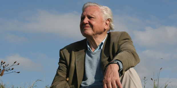 Sir David Attenborough in his new documentary 'Attenborough : 60 Yeara In The Wild'. Photo / Supplied