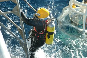 Divers work to recover the bodies off Raglan. Photo / Royal NZ Navy Facebook page