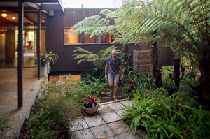 12 Kopiko Road, Titirangi. Photo / Ted Baghurst