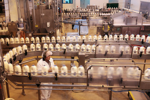 Dairy prices have increased nearly 50 per cent in the past four auctions. Photo / Bloomberg