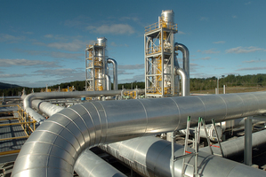 The offer opens on April 15 and all NZ applications are guaranteed a minimum of $2000 worth of shares although they can apply for a minimum $1000 amount of shares. Photo / File