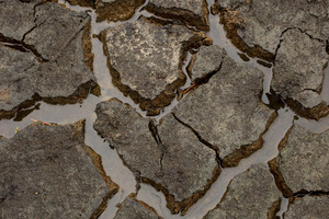 Despite the downpours across northern New Zealand, the first part of the nation to be declared a drought zone this year, many farms missed out. Photo / Alan Gibson