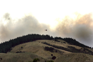 The pine forest fire at Pahaoa Rd, South Wairarapa. Photo / Lynda Feringa