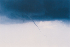 Photo / Thinkstock