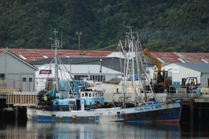 The Honey Dew. Photo / File / Greymouth Star