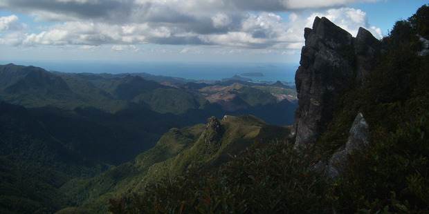 The top of the Pinnacles offers views over the forest, mountains and coastline of the southern Coromandel. Photo / Supplied