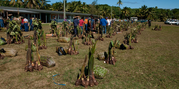 Piles of food outside the Hakupu Village hall will be distributed to families who made a donation to the ceremony. Photo / Jeff Evans