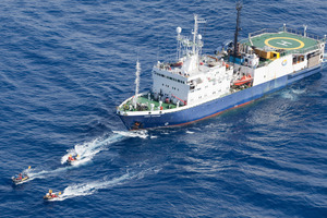 Photo / Greenpeace / Dave Lashlie