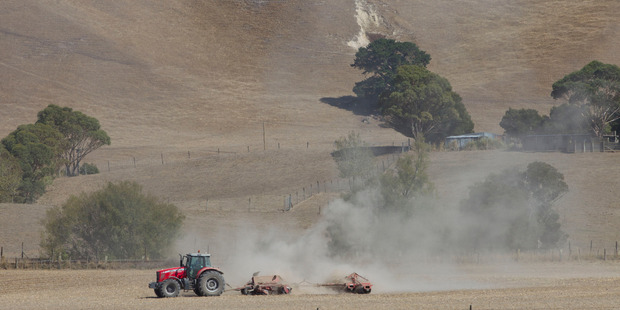 Fonterra also made its sharemarket debut last year with the listing of the Fonterra Shareholders' Fund (FSF), which gives investors access to the dairy co-op's dividend flow. Photo / Mark Mitchell