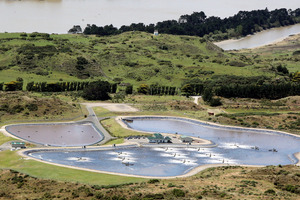 The city's water treatment plant. Photo / Stuart Munro