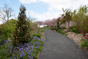 Auckland Botanic Gardens. Photo / Doug Sherring