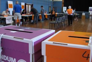 Paper votes are still more secure than digital votes. Photo / Fritha Tagg