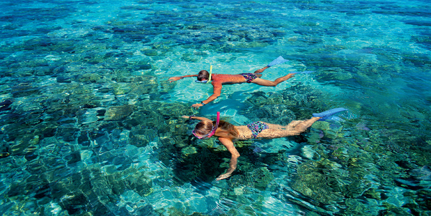 Snorkelling at Green Island, north Queensland. Photo / Supplied