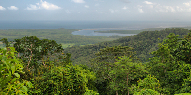 Travelling the Daintree National Park. Photo / Getty Images