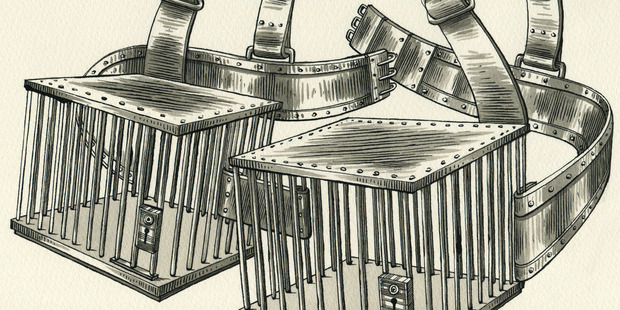 Illustration / Anna Crichton