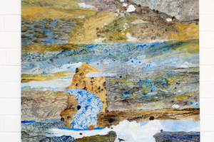 Wanton Eye by Barbara Tuck who is showing at the Anna Miles Gallery until May 18. Photo / Martin Sykes