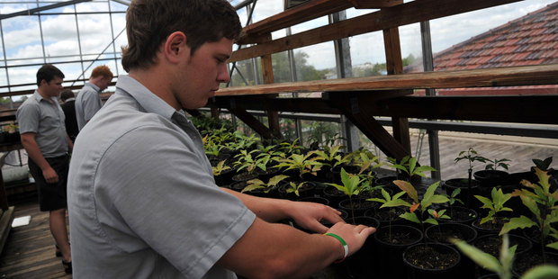 St Paul's Collegiate students planting crops. Photo / Thinkstock