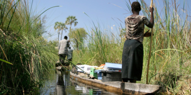 Stay safe and healthy as you make your way through the Okavango Delta. Photo / Thinkstock