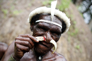 Indonesia has marginalised the indigenous population by encouraging migration from its more populous area. Photo / Getty Images