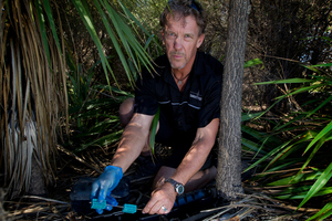 Tim Brown of Target Pest, says he's had to lay down more bait than usual. Photo / Sarah Ivey