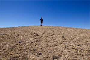 Fonterra warns it is too early to determine whether the drought has left any lasting damage. Photo / Brett Phibbs