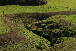 Research has found that agricultural operations are the worst offenders when it comes to keeping environmental promises. Photo / Mark Mitchell