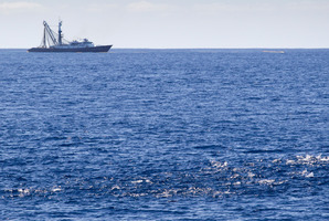 File photo / Greg Bowker