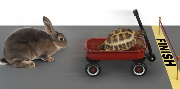 Photo / Thinkstock