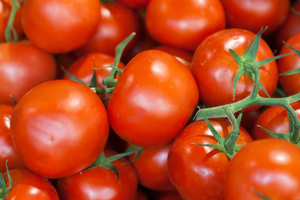 Horticulture NZ chief executive Peter Silcock supported calls for tough labelling requirements. Photo / Thinkstock