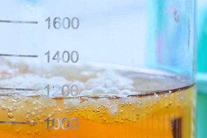 Photo / Thinkstock